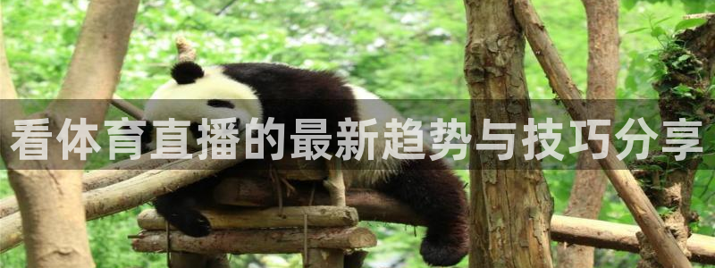 看体育直播的最新趋势与技巧分享