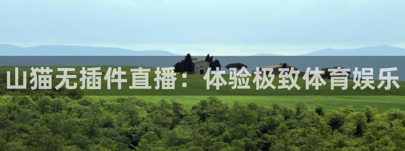 山猫无插件直播：体验极致体育娱乐