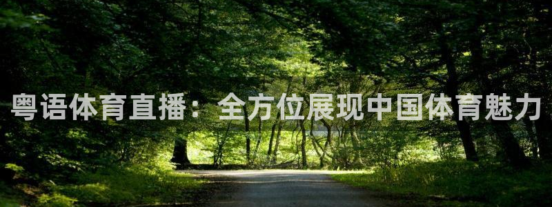 粤语体育直播：全方位展现中国体育魅力