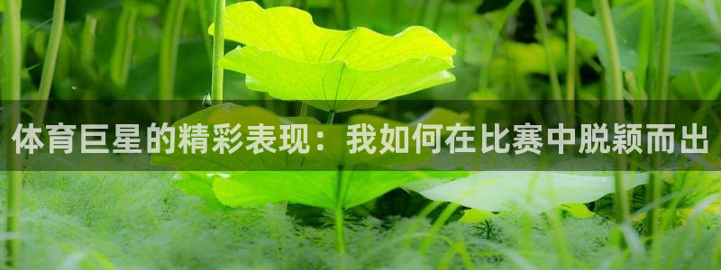 体育巨星的精彩表现：我如何在比赛中脱颖而出
