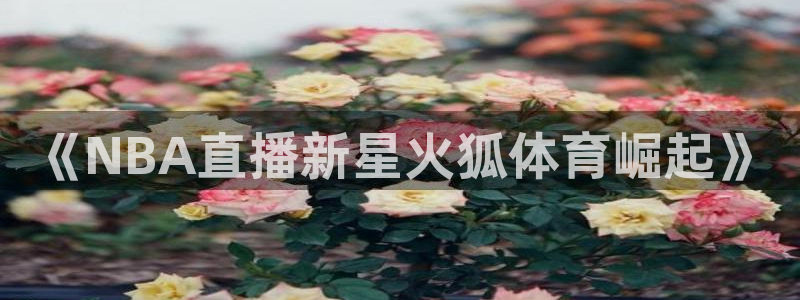 《NBA直播新星火狐体育崛起》