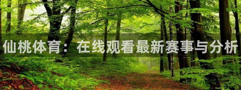 仙桃体育：在线观看最新赛事与分析